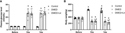 Liraglutide Ameliorates Erectile Dysfunction via Regulating Oxidative Stress, the RhoA/ROCK Pathway and Autophagy in Diabetes Mellitus